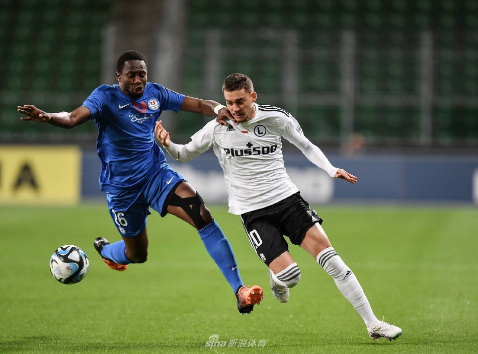 举办的跳水 举办的跳水